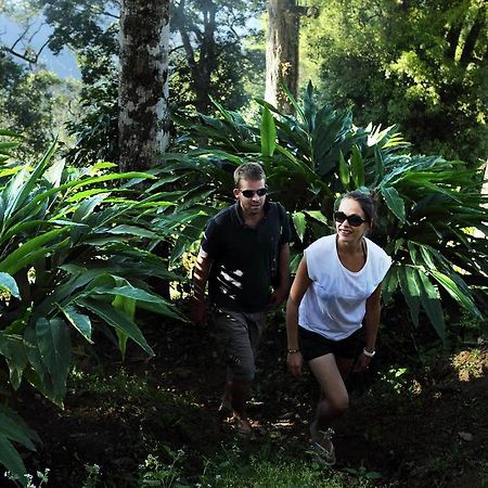 Olive Brook Hotell Munnar Rum bild