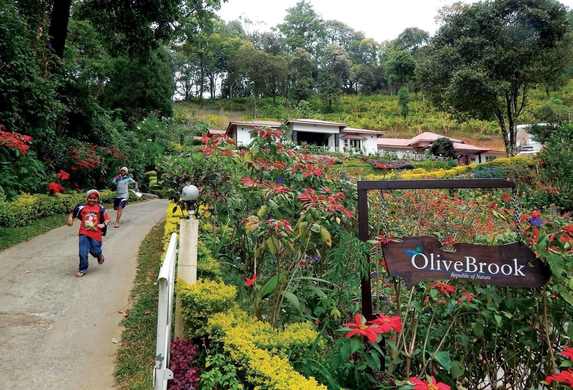 Olive Brook Hotell Munnar Exteriör bild